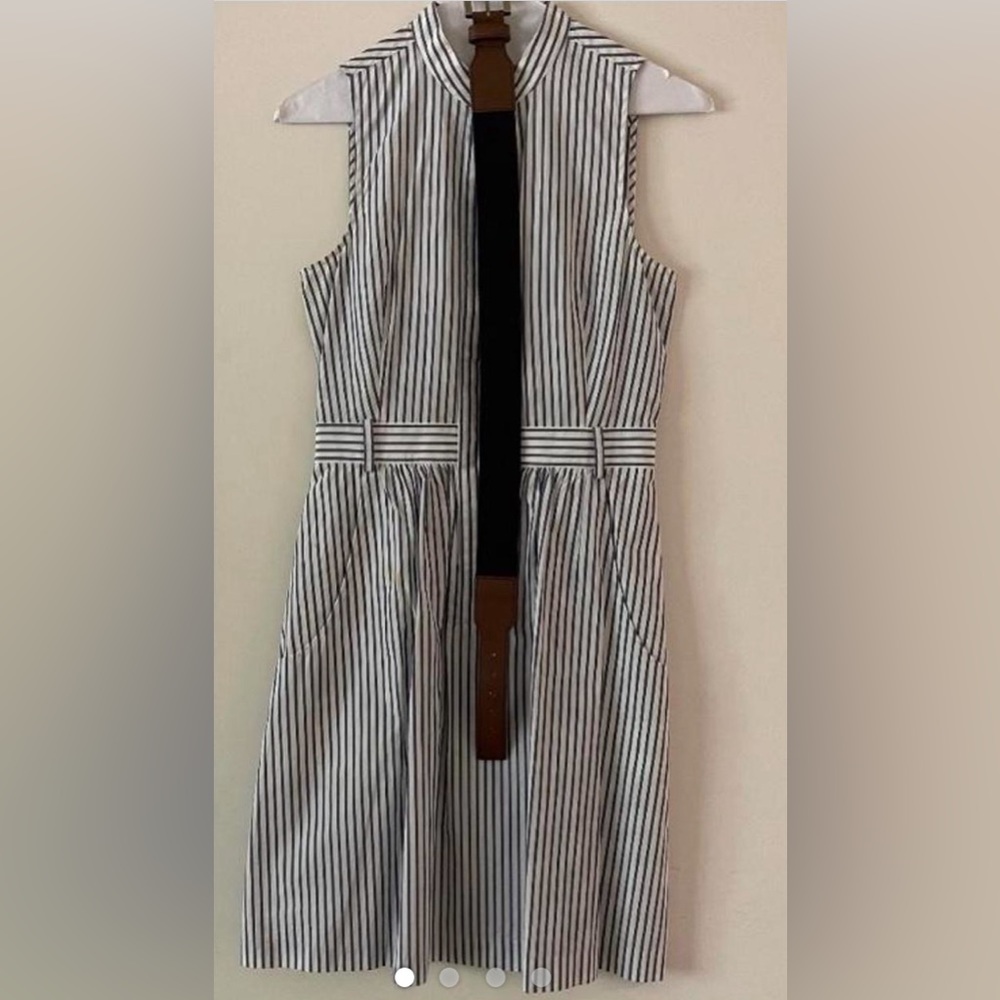Theory 2009 Mandarin collar blue and white button sleeves button down dress